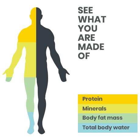 Body Composition Fitness